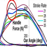 Effect of stroke rate on rowing technique