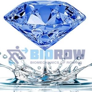BioRow Honorary Membership